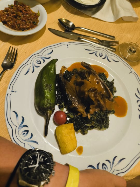 Gastro Alaiye Resort & Spa