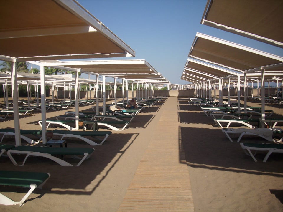 Alles freie Liegen - und das im August Royal Wings Hotel