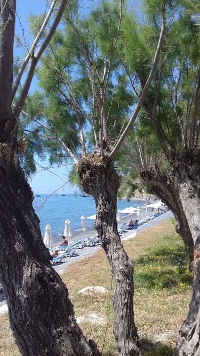 Strand Dimitra Beach Hotel & Suites