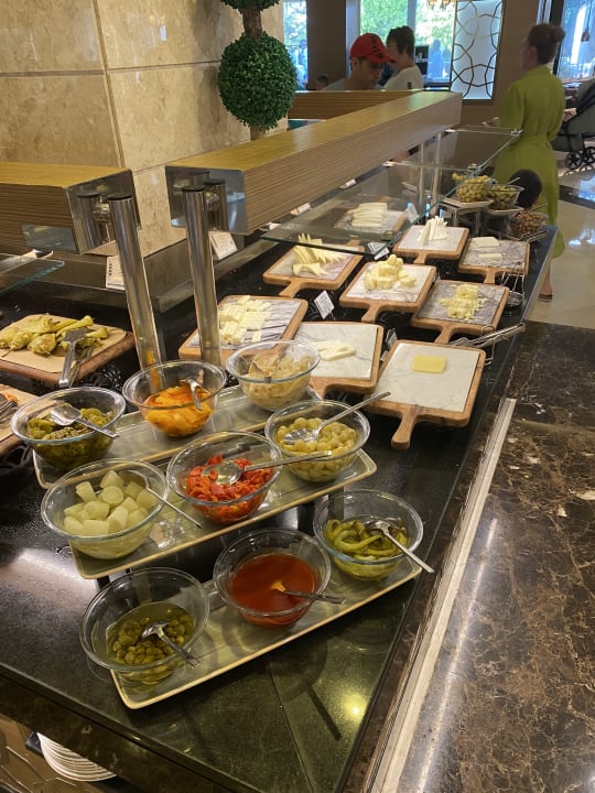 Gastro Papillon Ayscha