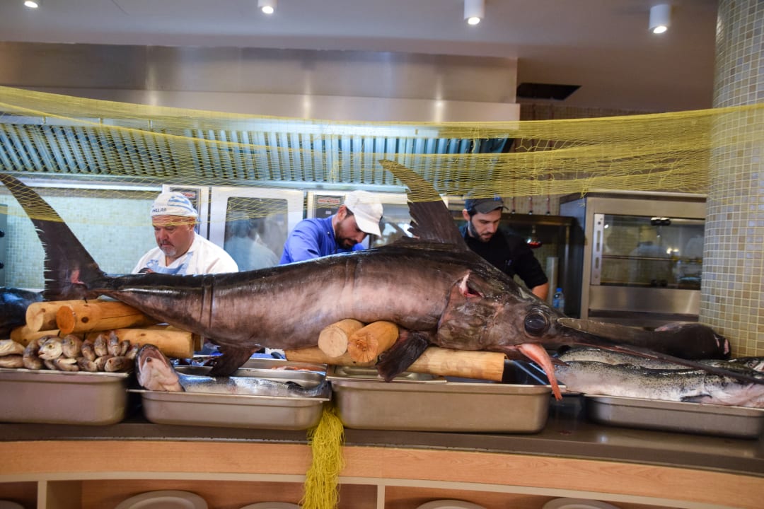 Sonstiges Atlantica Plimmiri