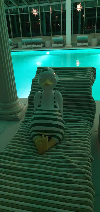 Pool Hotel der Wiesenhof