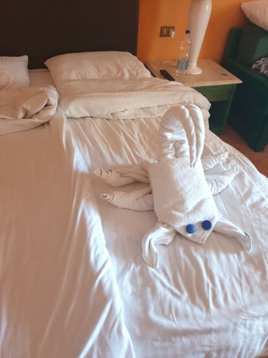 Zimmer Arabia Azur Resort