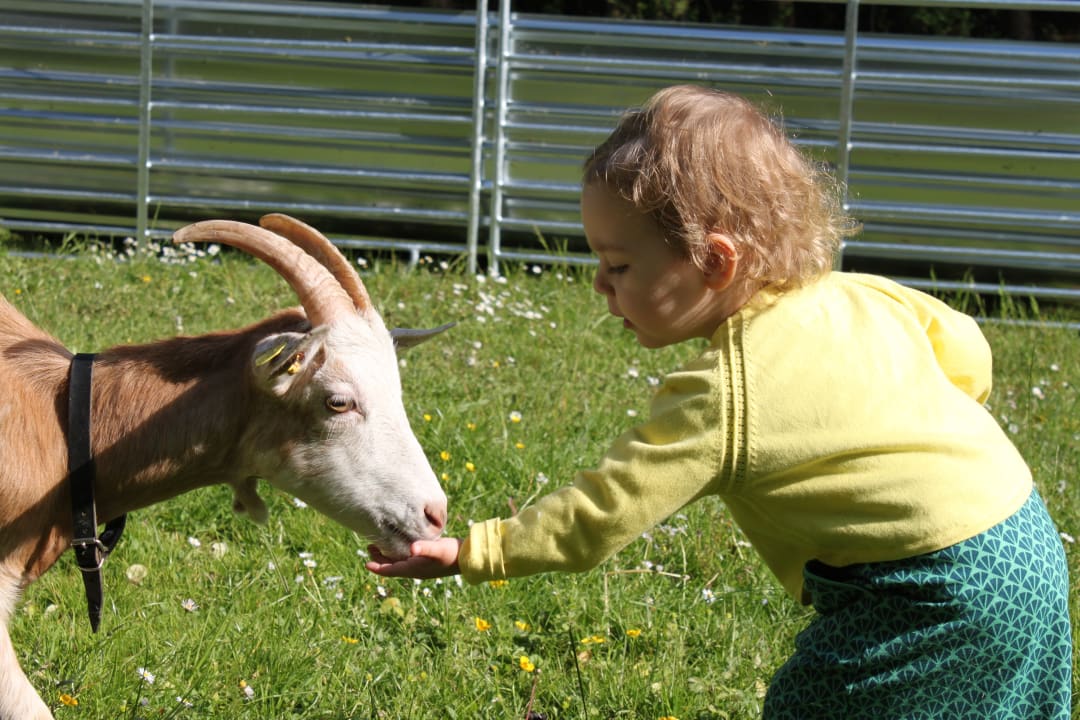Gartenanlage Dilly - Das Nationalpark Resort
