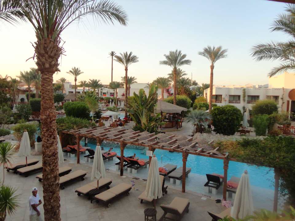 Was Schönes Ghazala Gardens