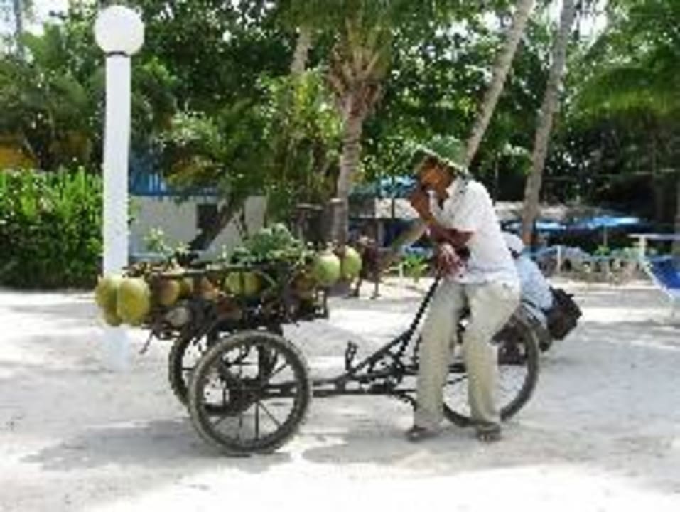 Händler whala!boca chica