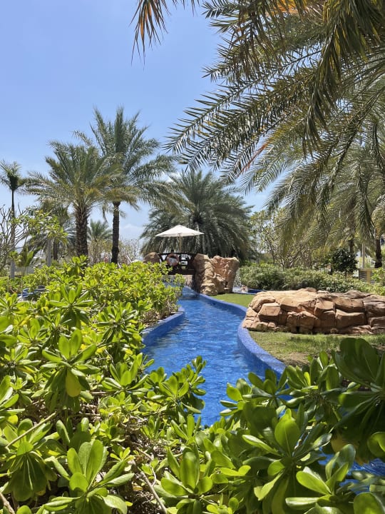 Gartenanlage Dukes The Palm Dubai Hotel