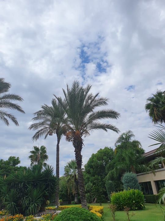 Gartenanlage Sunis Elita Beach Resort & Spa