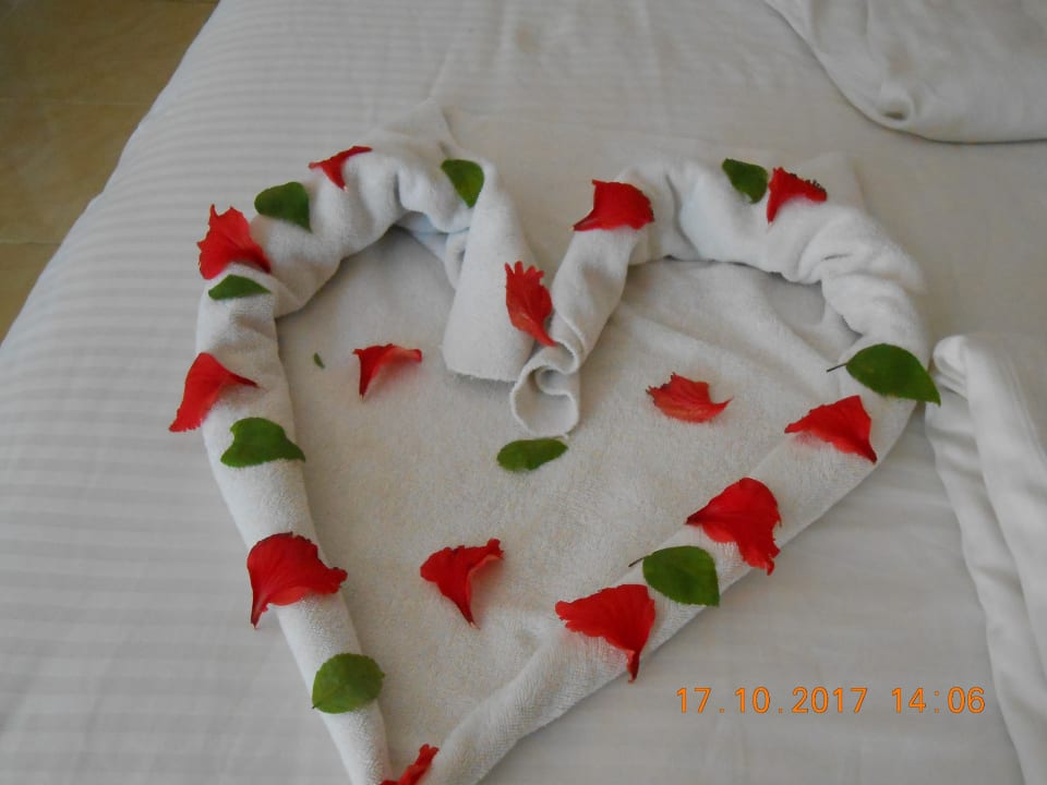 Zimmer Giftun Azur Resort