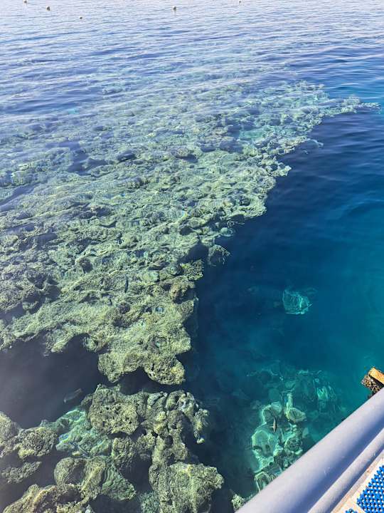 Strand SUNRISE Anjum Resort Marsa Alam
