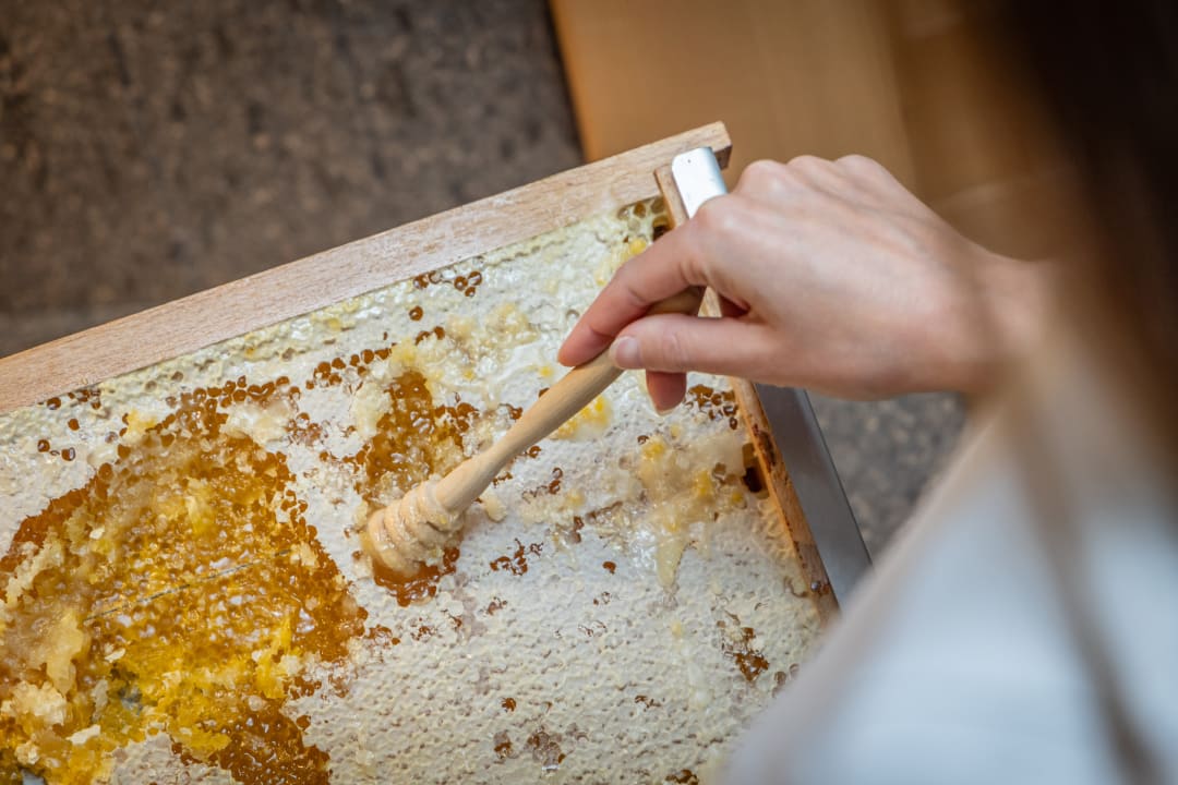 Gastro Hotel Tirol Natural Idyll