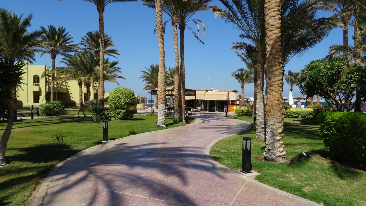 Gartenanlage Palm Beach Resort