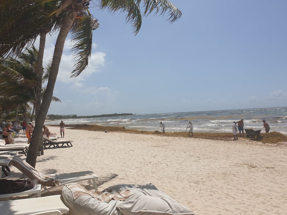 Strand Catalonia Royal Tulum Beach & Spa Resort - Adults only