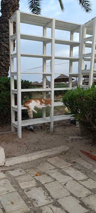 Sonstiges Sentido Bellevue Park