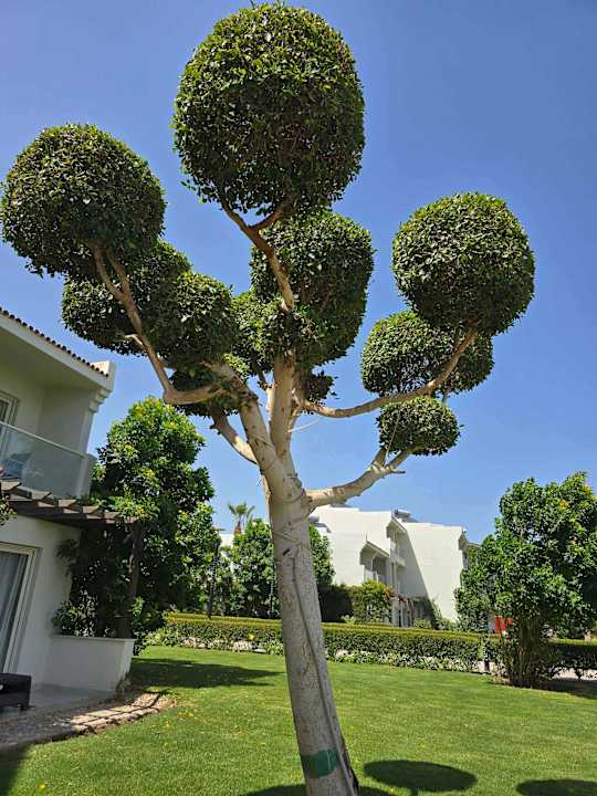 Lobby Amarina Abu Soma Resort & Aquapark