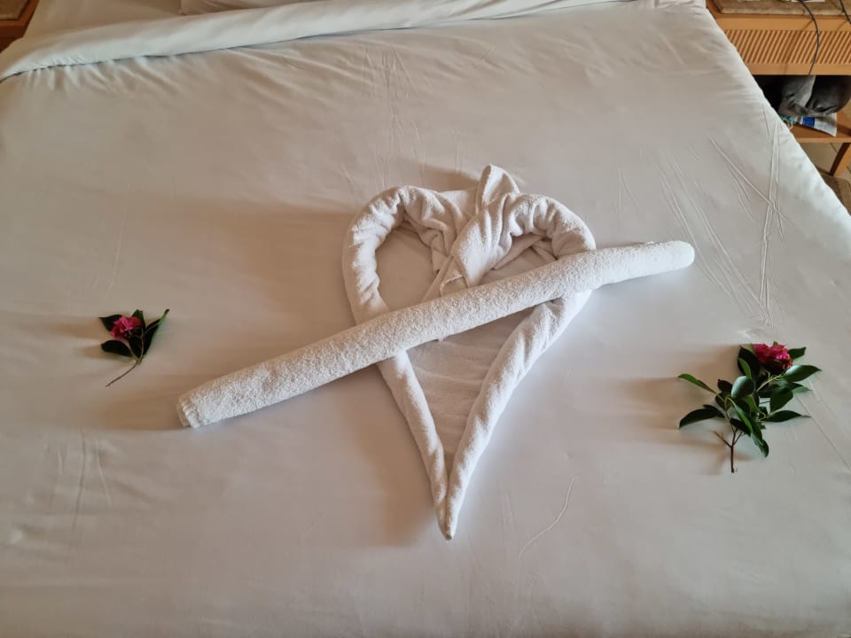 Zimmer Hotel JAZ Makadi Star & Spa