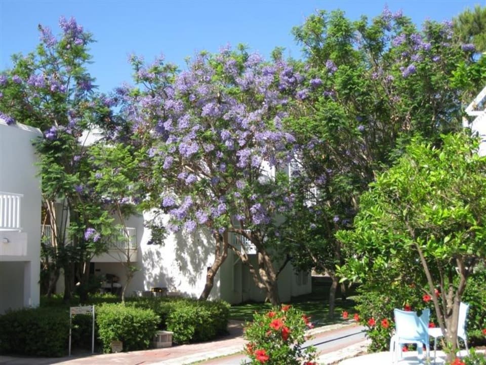 Gartenvillen Monachus Family Resort Sorgun
