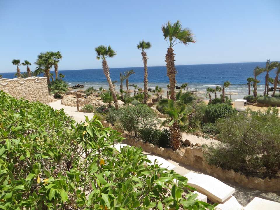 Strand Pickalbatros Citadel Resort