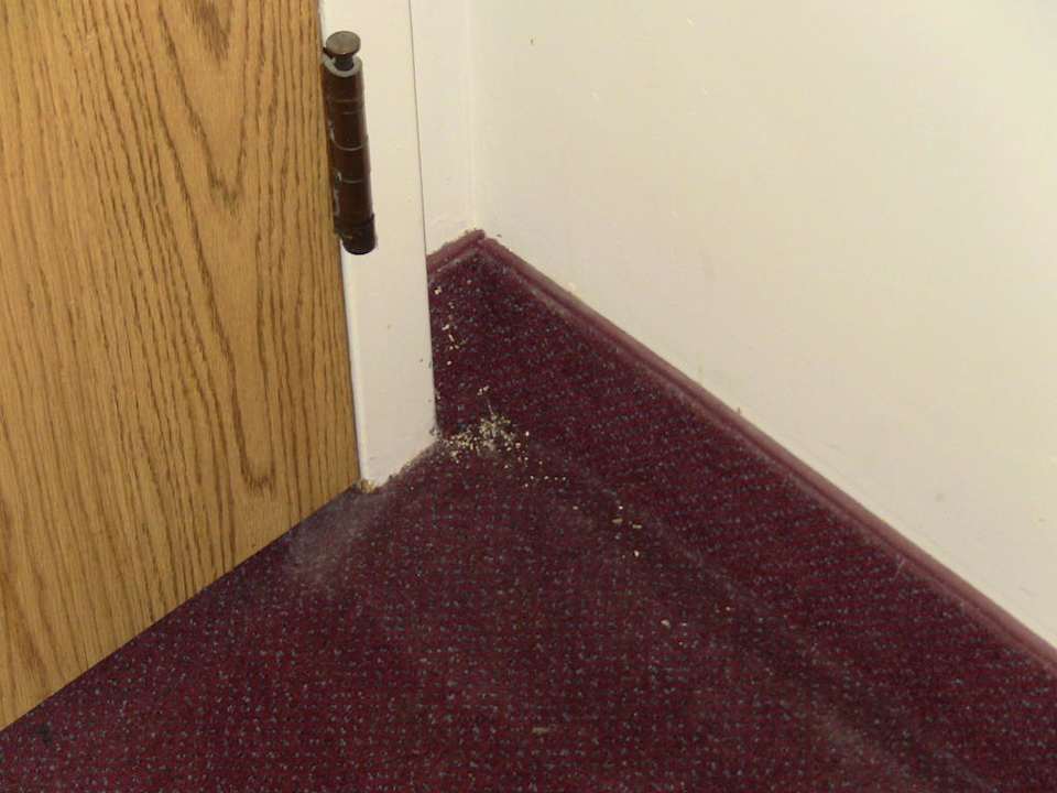 Teppich Zimmer Hotel Inns of Banff