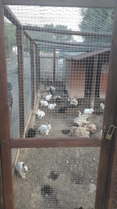 Sonstiges Sun Club Eldorado