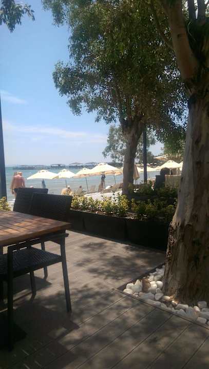 Italian  Asteria Venus Didim