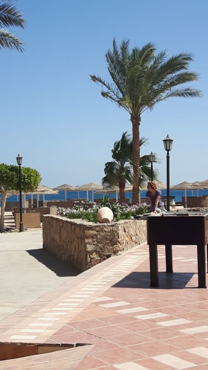 Strand Eagles Paradise Abu Soma