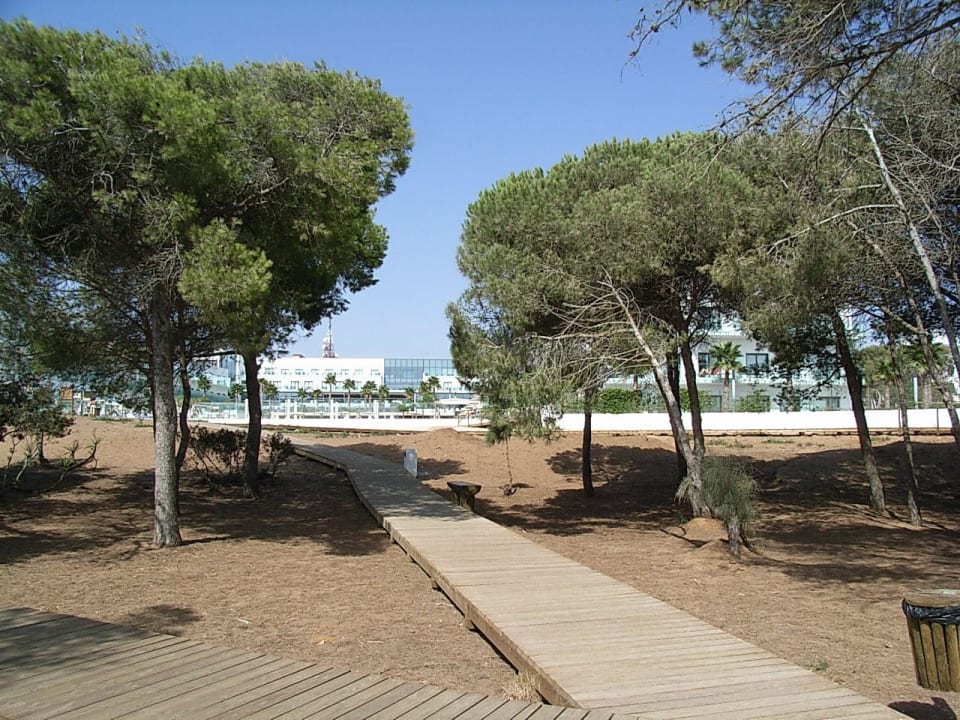Blick auf Hotel vom Aussichtspunkt Hipotels Gran Conil Hotel