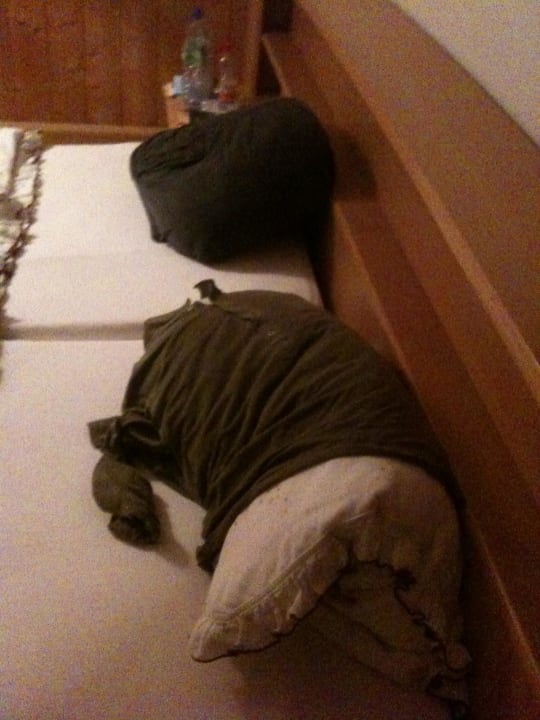 Durch die Notlage eine improvisierter Bezug! Bauernhof Scheckhof