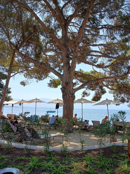 Gartenanlage Ömer Prime Holiday Resort