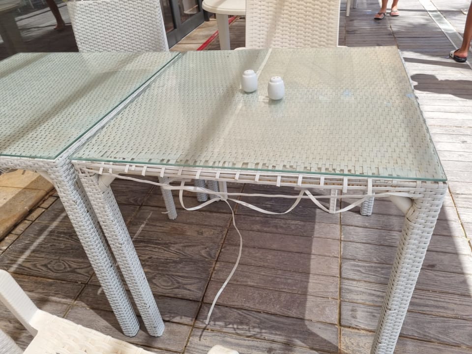 Gastro Club Palm Azur
