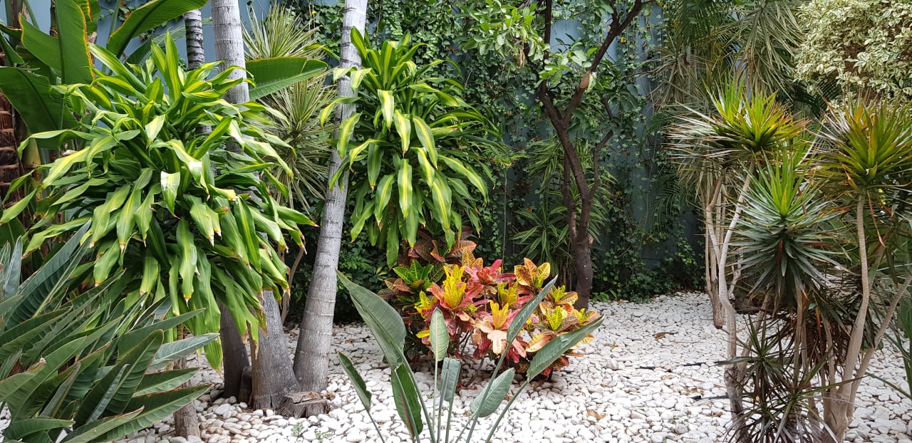 Gartenanlage Adrián Hoteles Colón Guanahaní - Adults only