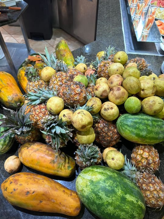 Gastro Blau varadero - Adults only