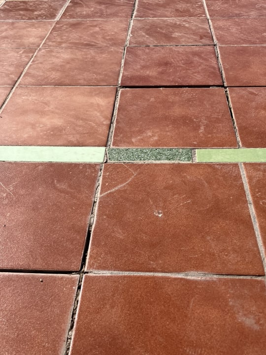 Gartenanlage Club Hotel Drago Park