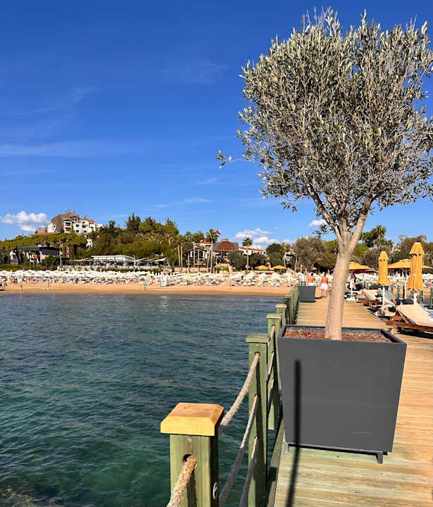 Strand Arum Barut Collection