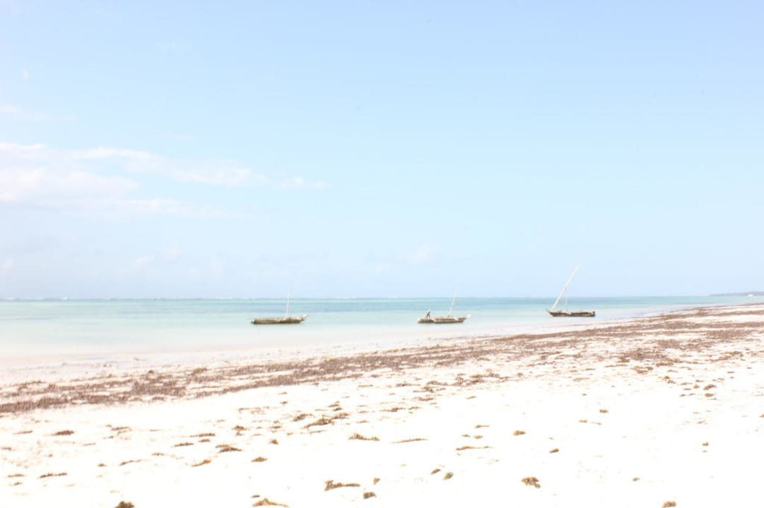 Bei Ebbe Neptune Paradise Beach Resort & Spa