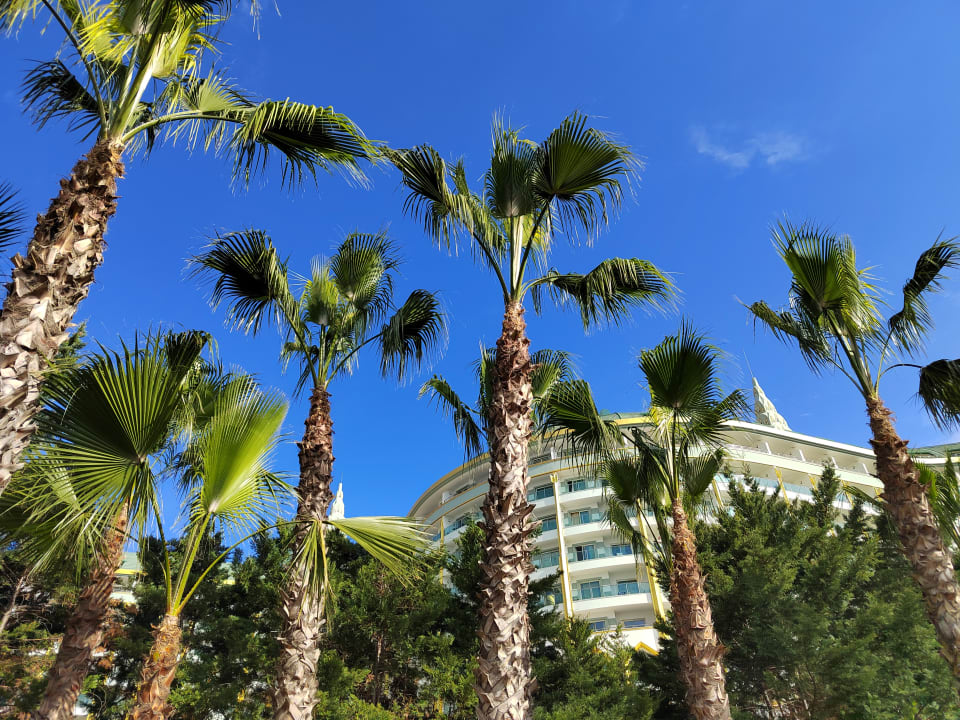 Gartenanlage Hotel Delphin Imperial