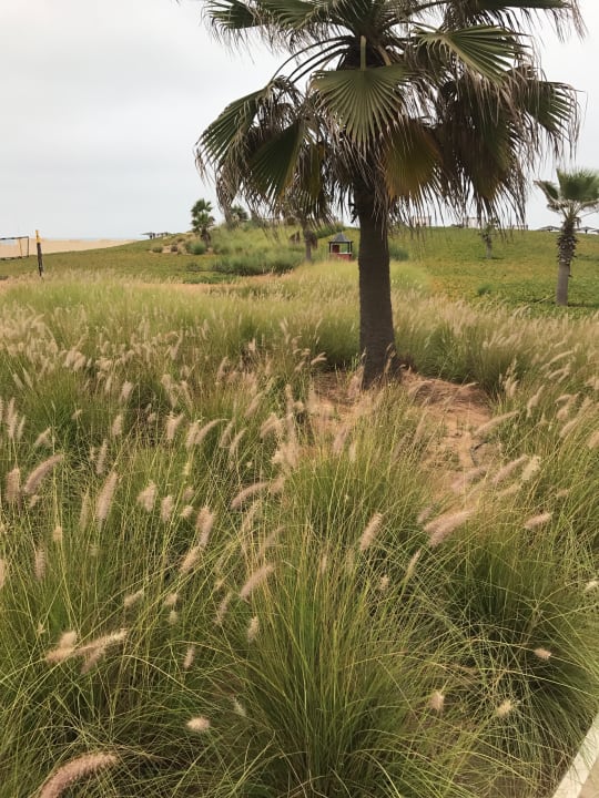 Gartenanlage ROBINSON AGADIR