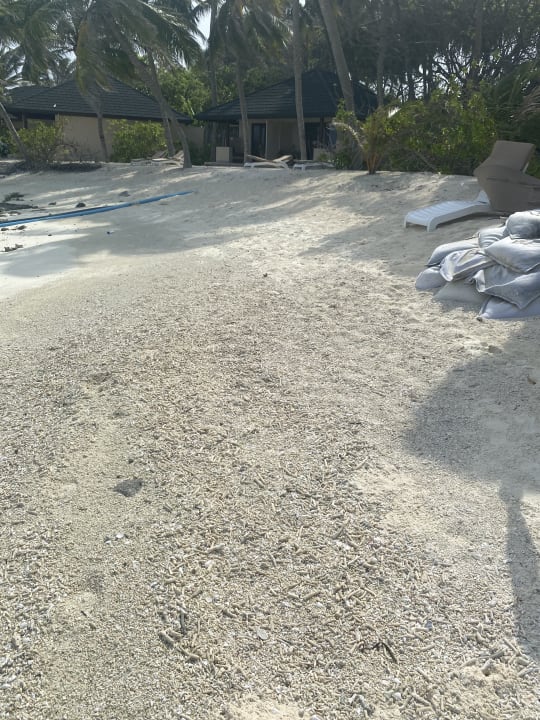 Strand Summer Island Maldives