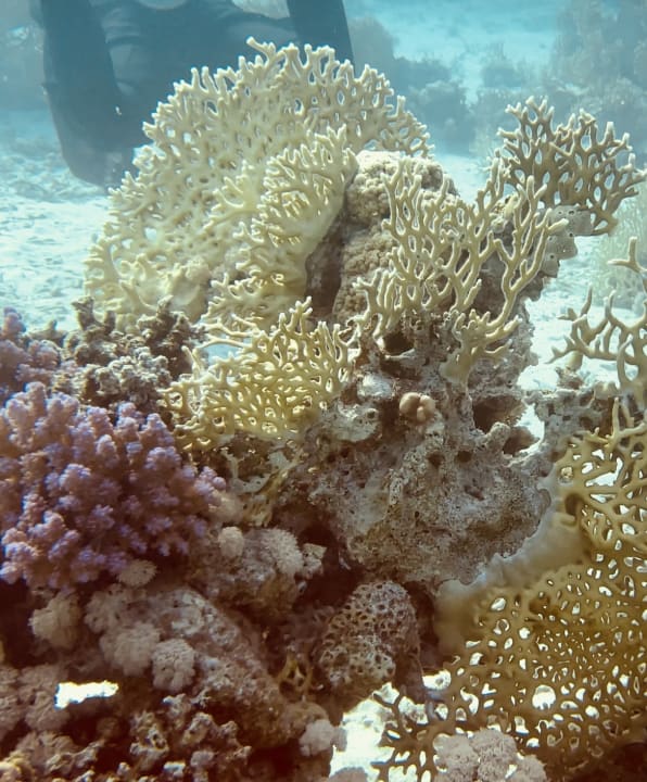 Sport & Freizeit Hotel JAZ Makadi Star & Spa