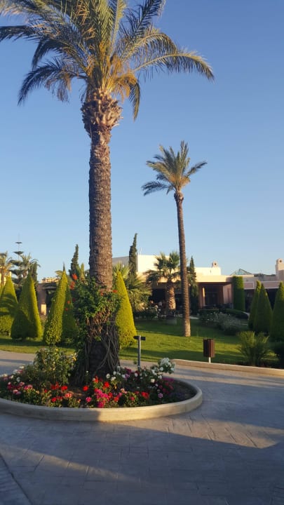 Wunderschön gepflegt Hotel Horizon Beach Resort