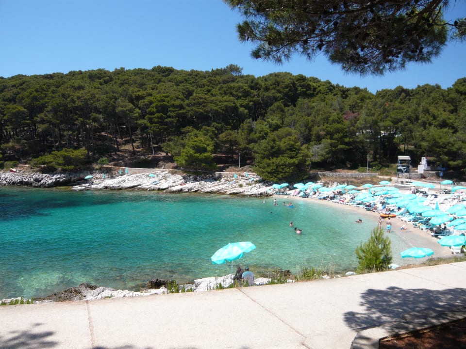 Kieselige Badebucht auch für kl. Kinder geeigne Hotel Aurora