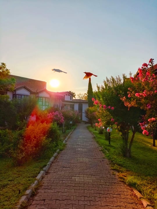 Gartenanlage Starlight Resort Hotel