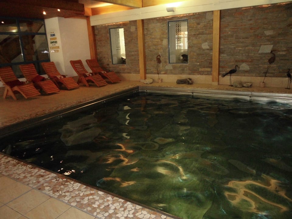 Das große Schwimmbecken Familienhotel Hinteregger