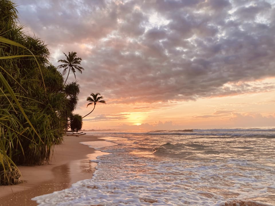 Strand Hotel Haus am Meer Wilde Ananas