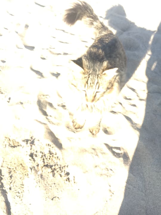 Strand Limak Lara Deluxe Hotel & Resort