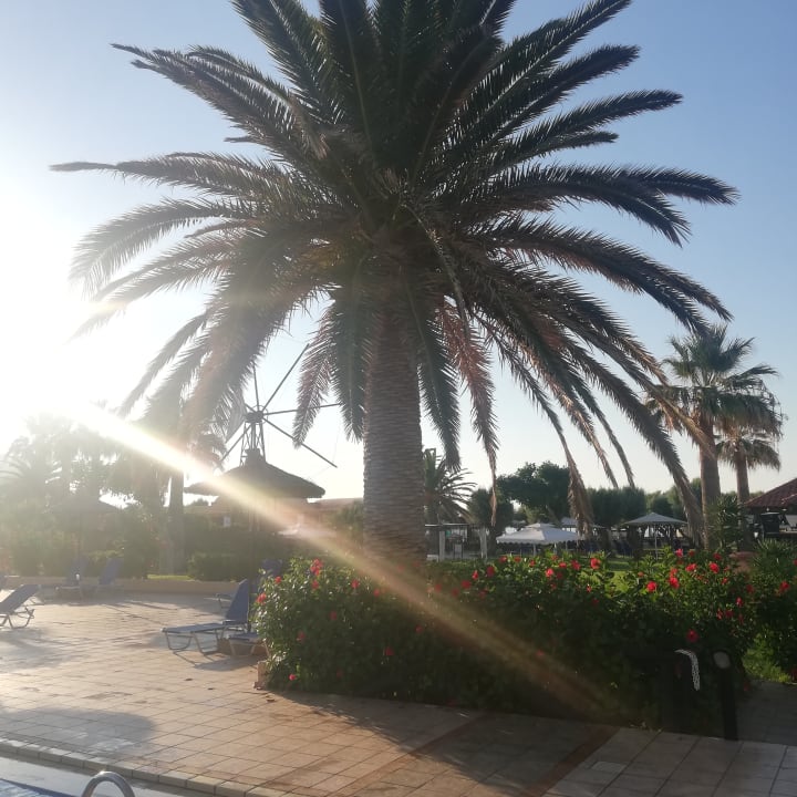 Gartenanlage Anissa Beach & Village