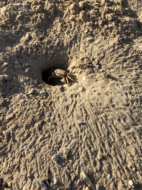 Strand Hotel Gorgonia Beach Resort