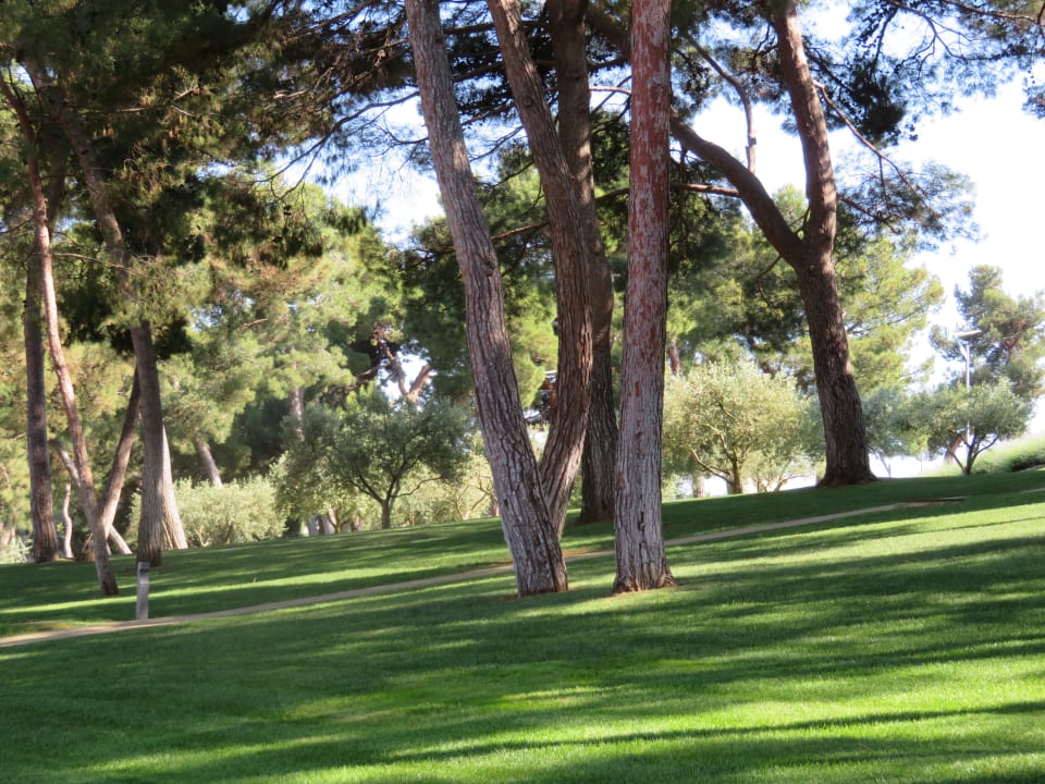 Gartenanlage Hotel Parentium Plava Laguna