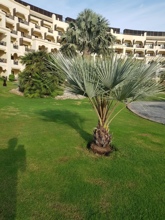 Gartenanlage Steigenberger ALDAU Beach Hotel