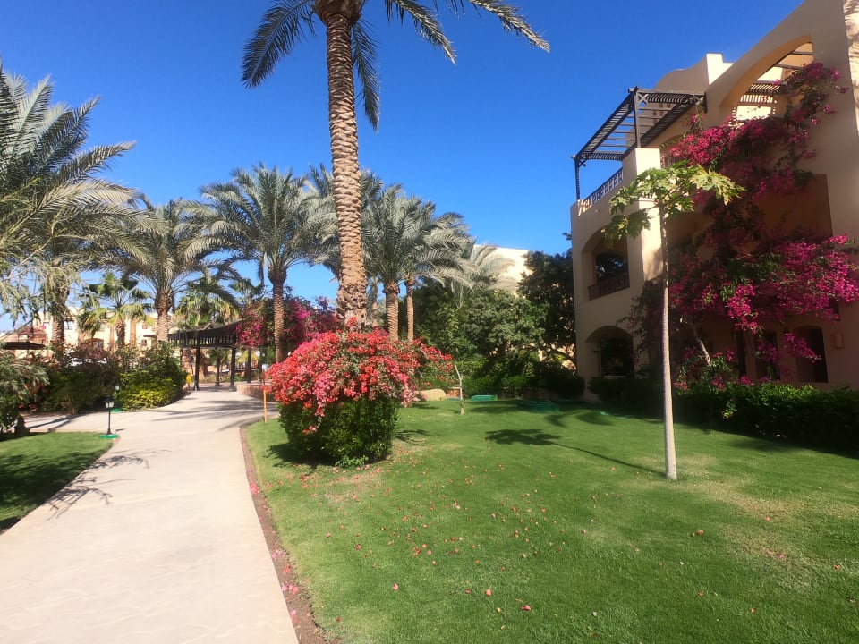 Außenansicht Steigenberger Coraya Beach - Adults only